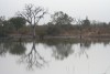 Am Wasserloch