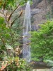 Wli-Falls