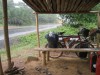 Erster Regen