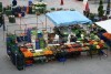 Markt auf der Plaza Mayor, León