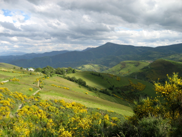 Passaufstieg nach O Cebreiro