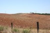 Alentejo