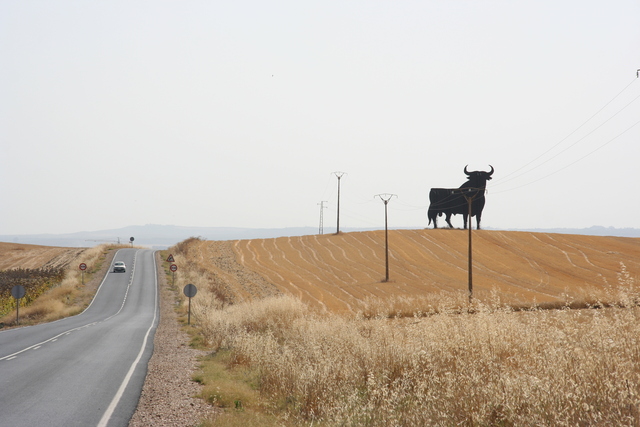 Il Toro