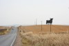 Il Toro