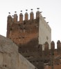 Jedem Storch sein Turm