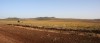 Morgenstimmung nach Ifrane