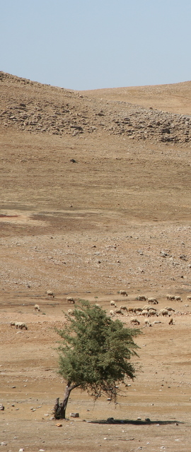 Mittlerer Atlas