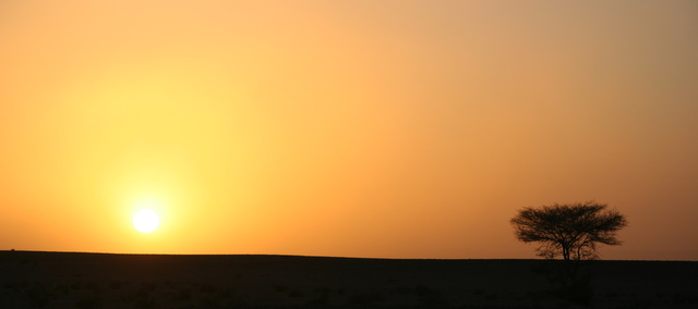 Sunset