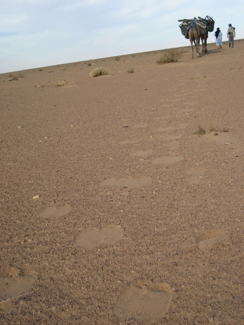 Spuren im Sand