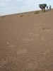 Spuren im Sand