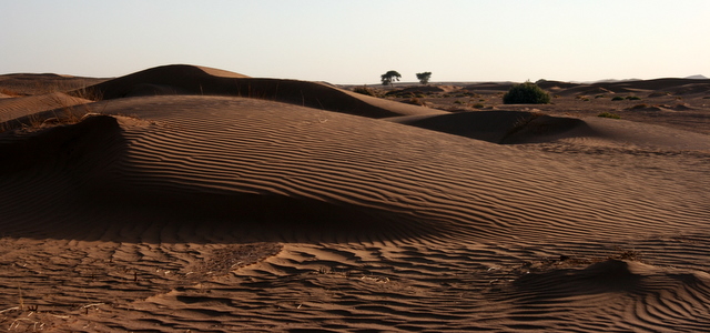Duenenlandschaft