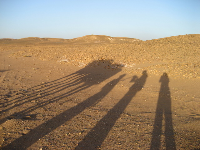 Durstige Schatten