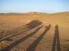 Durstige Schatten