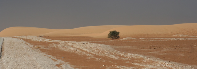 Sahara