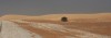 Sahara