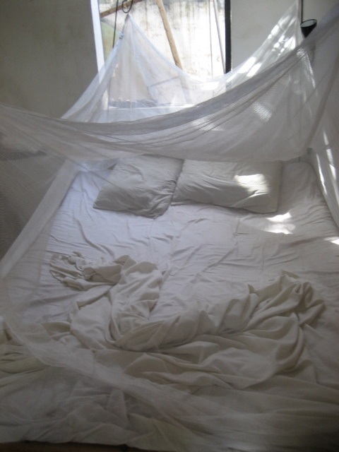 Nest